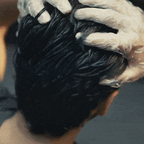 canas gif aplicacion hd