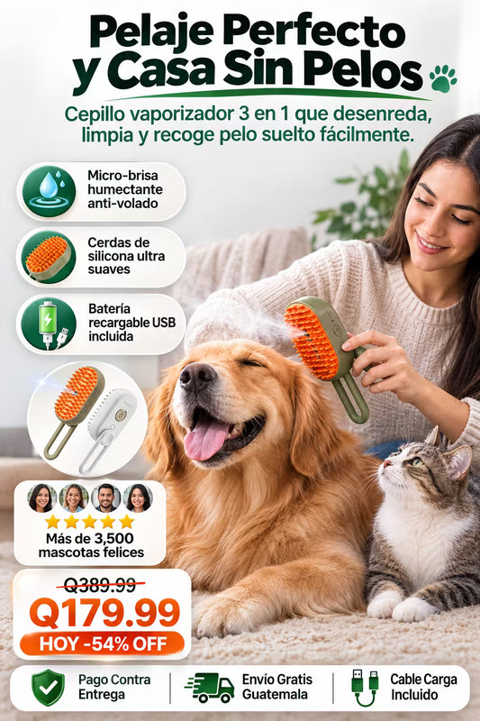 Cepillo Vaporizador Electrico 3 En 1